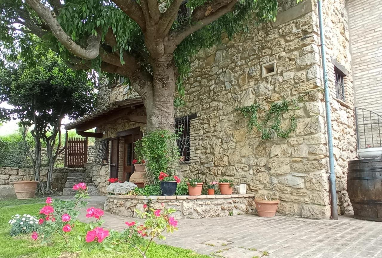 All'Ombra Di San Damiano Assisi Exterior foto