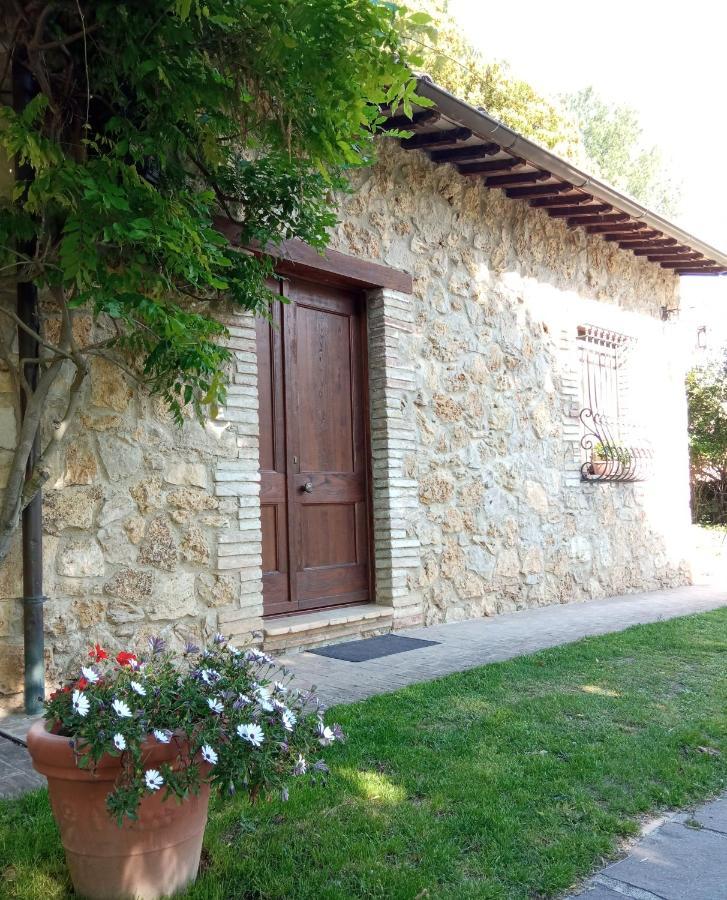 All'Ombra Di San Damiano Assisi Exterior foto