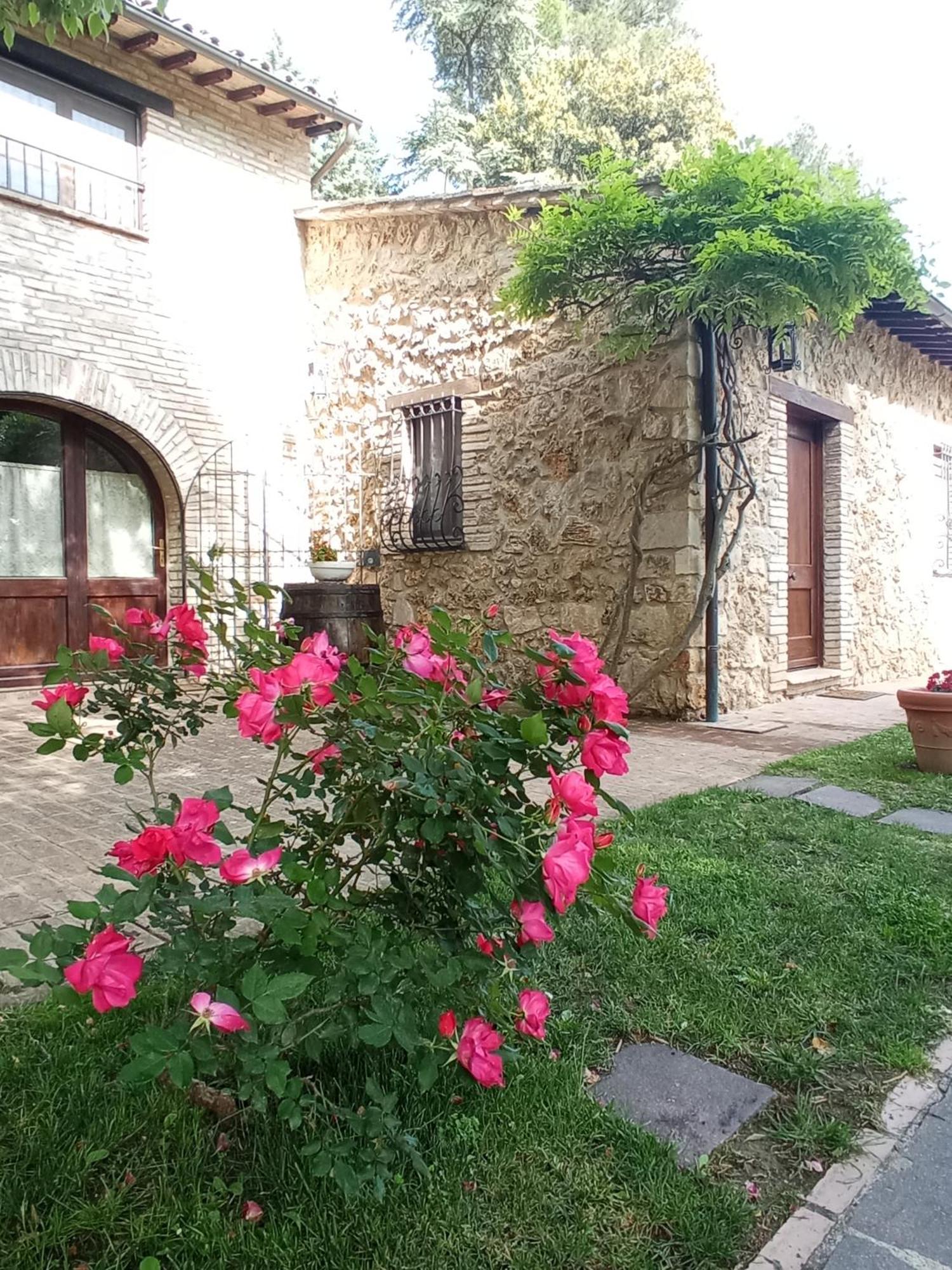 All'Ombra Di San Damiano Assisi Exterior foto