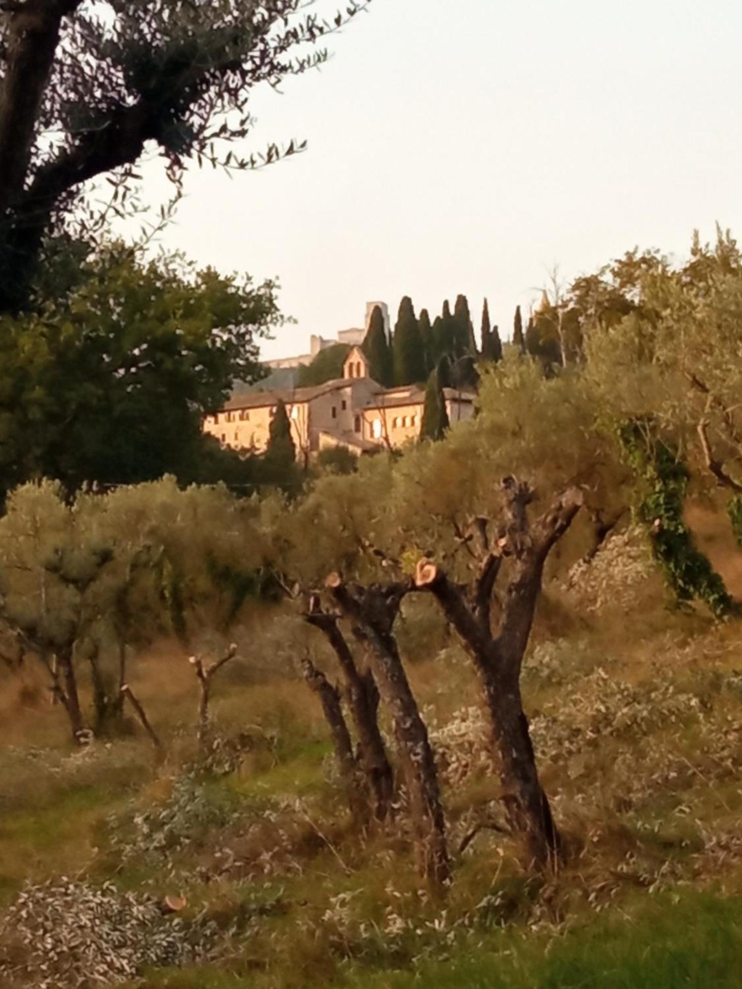 All'Ombra Di San Damiano Assisi Exterior foto